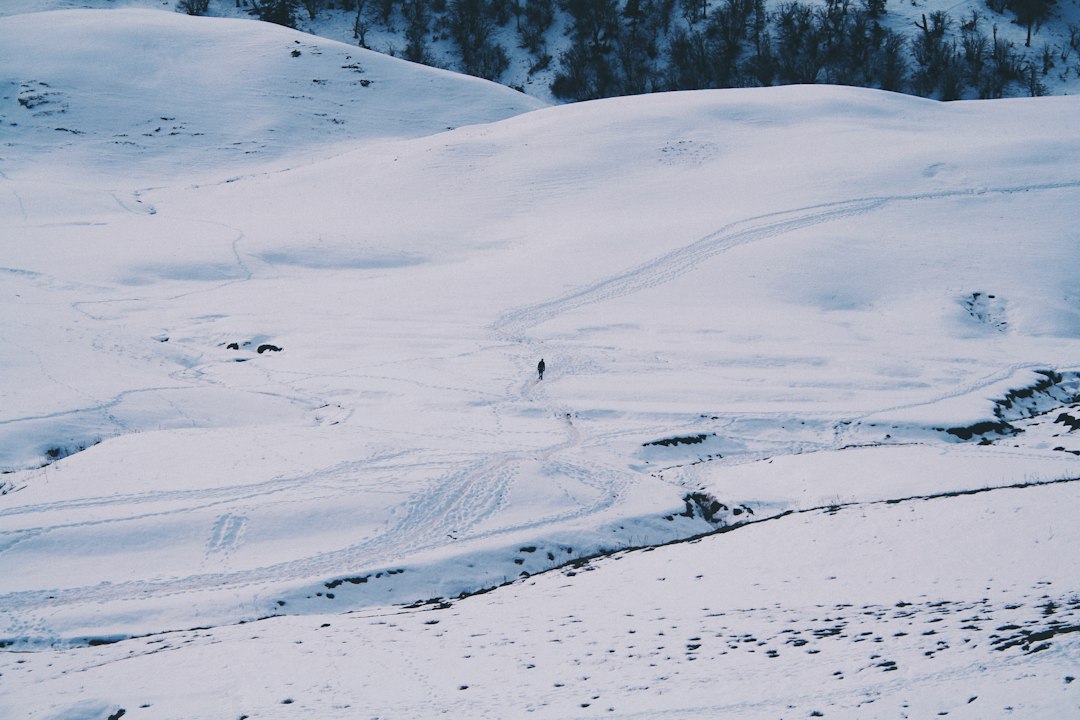 The Elusive Yeti: Exploring the Mysteries of the Himalayas abcdhe-103