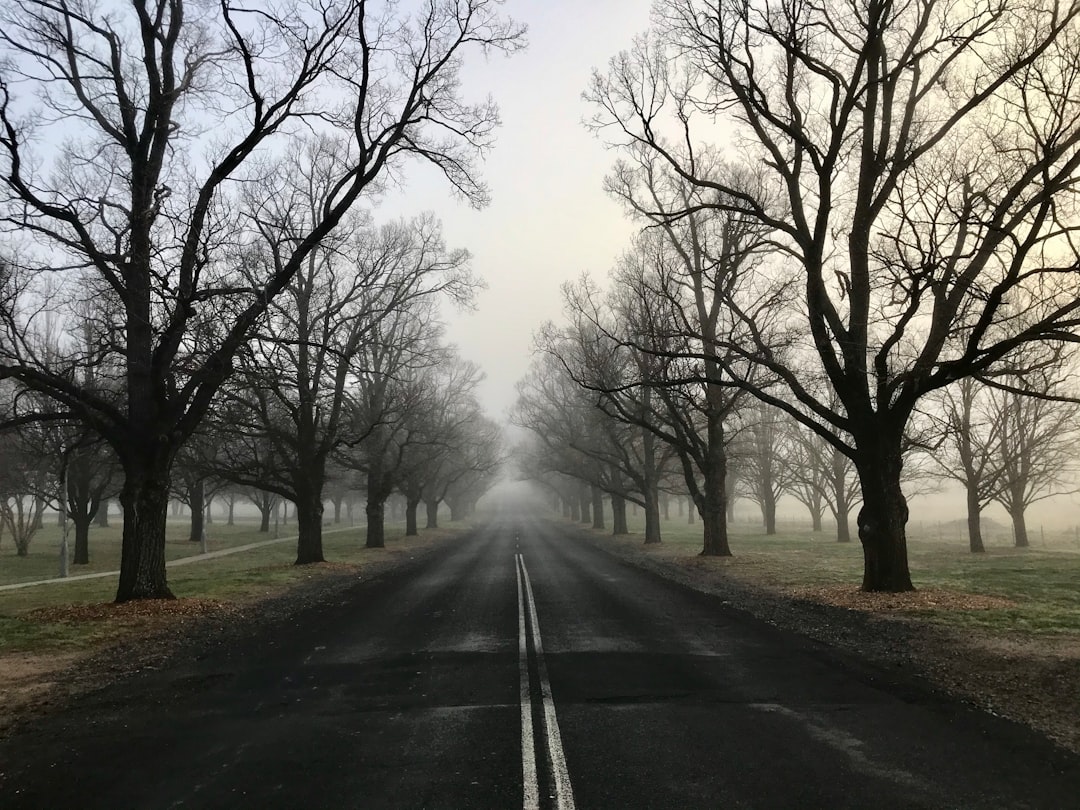 The Mysterious Tale of The Vanishing Hitchhiker: A Haunting Urban Legend abcdhe-91
